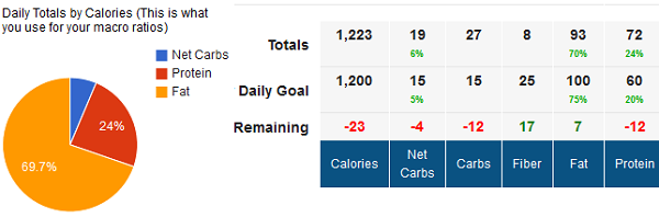 Tracking Daily Macros for Weight Loss