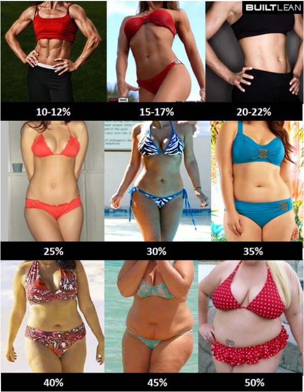 Body Fat Percentages : Pictures of Women
