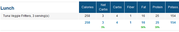 Macros for Low Carb Fritters