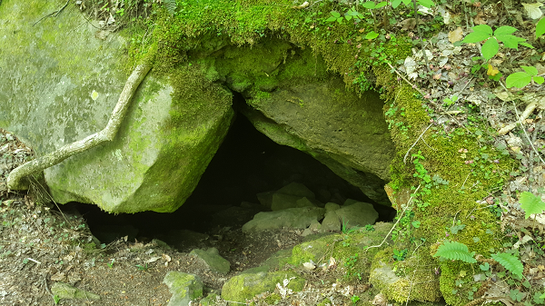 Tennessee Cave