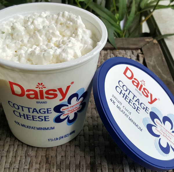 Daisy Brand Cottage Cheese