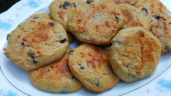 Easy Low Carb Cookies