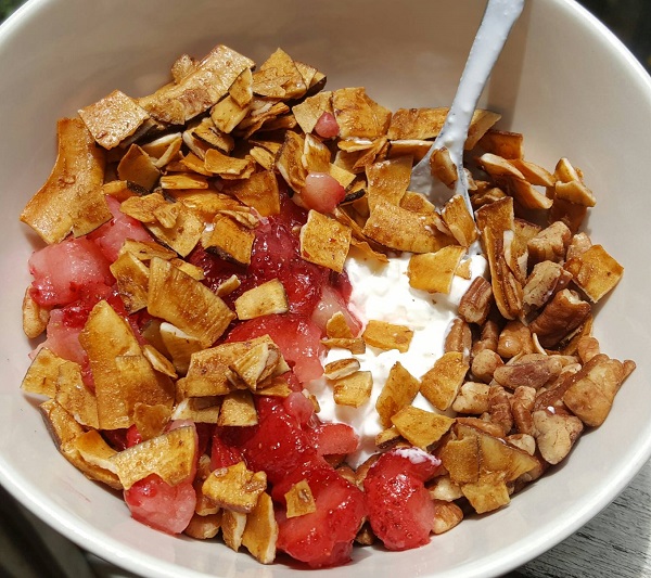 Low Carb Cereal with Coconut Chips