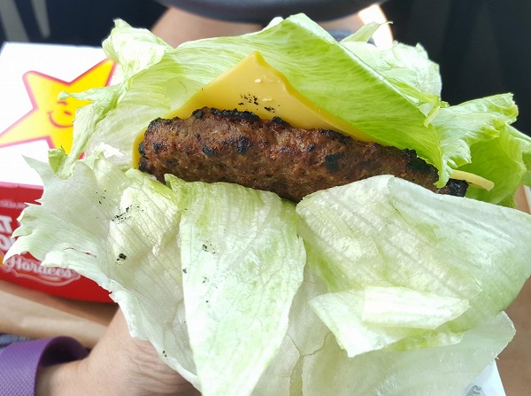 Low Carb Cheeseburger from Hardee's or Carl's Jr