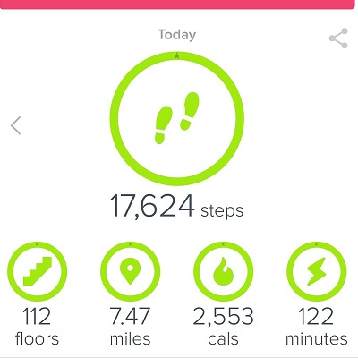 Fitbit Hiking Steps