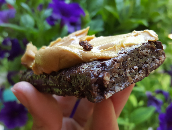Keto Bars - Low Carb Version of a Mounds Bar!
