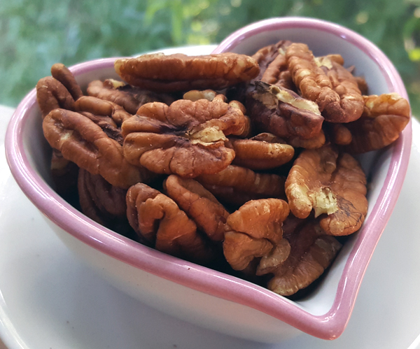 LCHF Nuts: Pecans are a Staple in my Low Carb Lifestyle!