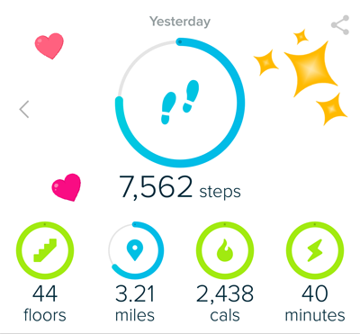 Hiking with Fitbit - Tracking Miles, Elevation and Inclines