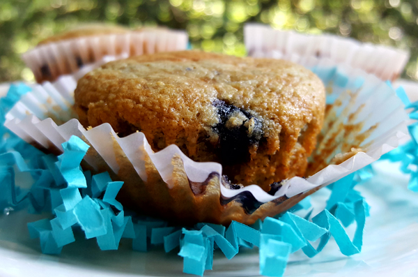 Low Carb Blueberry Muffins