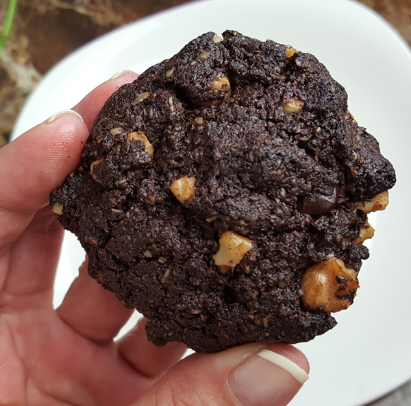 Double Chocolate Low Carb Cookie Mix