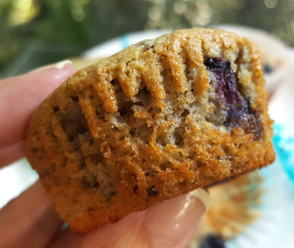 Low Carb Muffin Mix