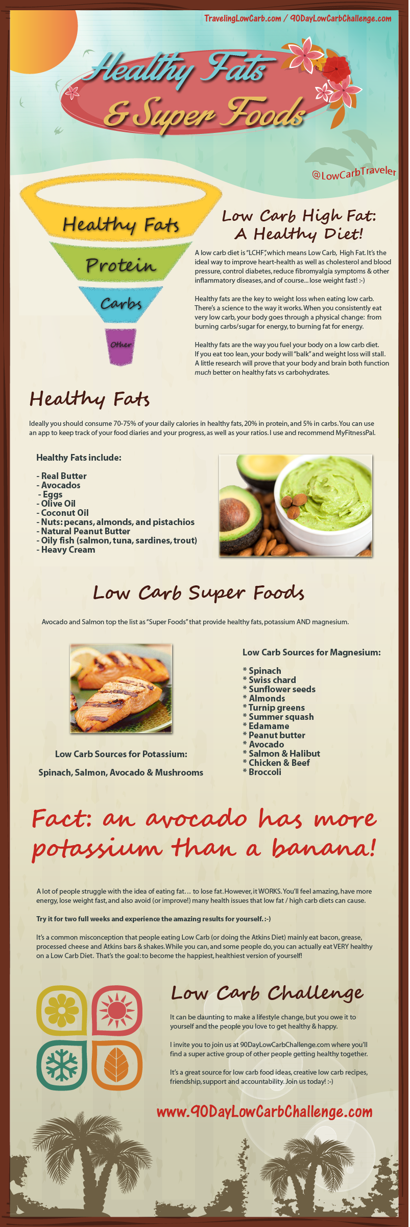 Healthy Fats and Super Foods for a Low Carb Diet
