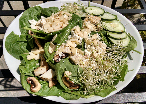 Low Carb Spinach Salad