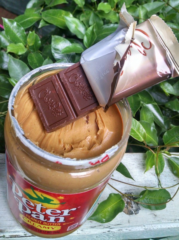Low Carb Chocolate and Peanut Butter