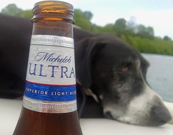 Michelob Ultra - Low Carb Beer
