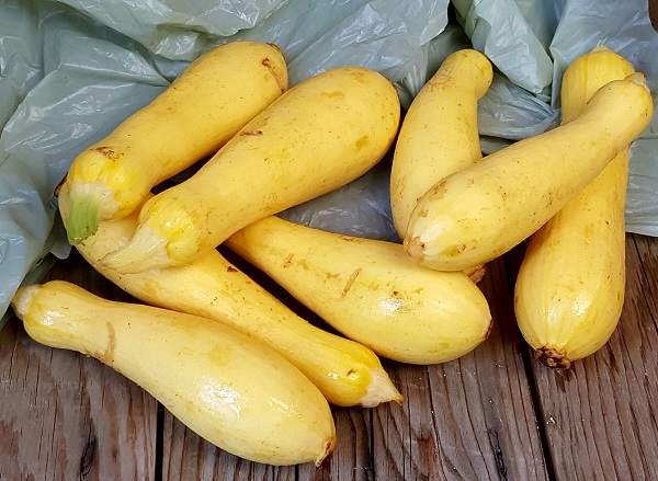 Fresh Yellow Squash (Low Carb Vegetables)