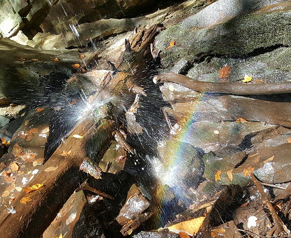 Rainbow in the woods, under Schoolhouse Falls in Grundy Forest
