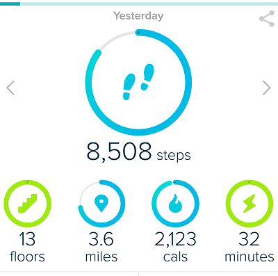 Fitbit Step Goals : Afternoon Walk