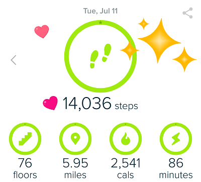 Hiking with Fitbit - Exercise Goals