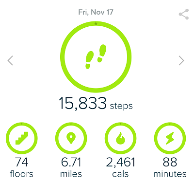 Fitbit Fitness Goals - Hiking for Exercise