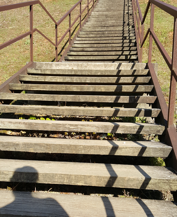 Stair Run - Fitness Challenge