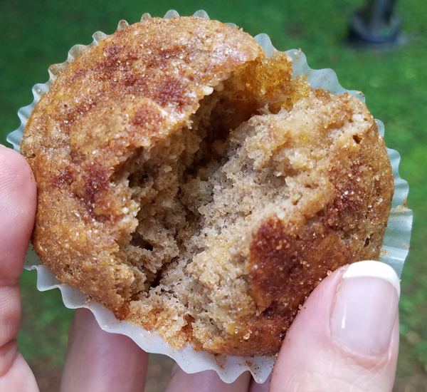 Moist Gluten Free Muffins - Keto Friendly Low Carb Recipe