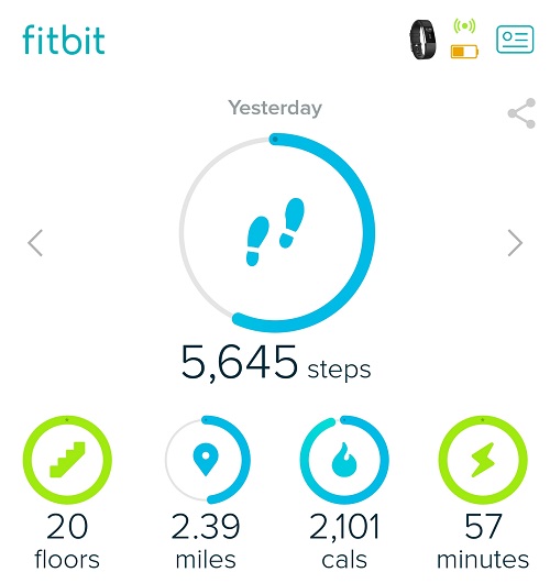 Rock Climbing with Fitbit - Fitness Goals