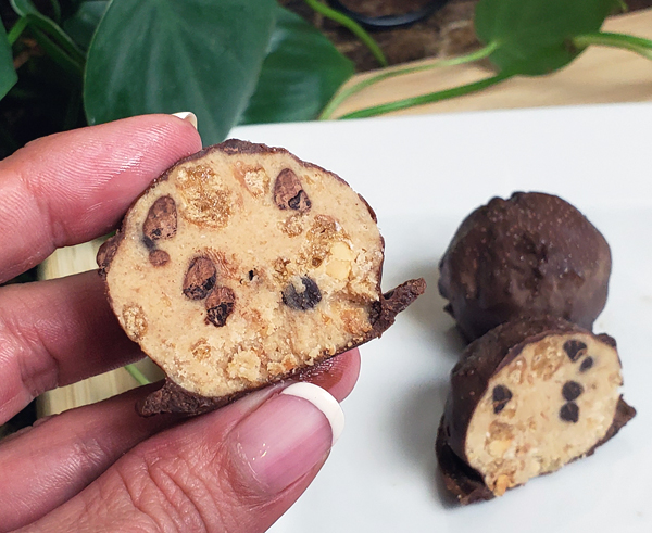 Keto Chocolate Chip Cookie Dough Protein Recipes